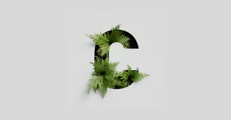 positive words that start with c