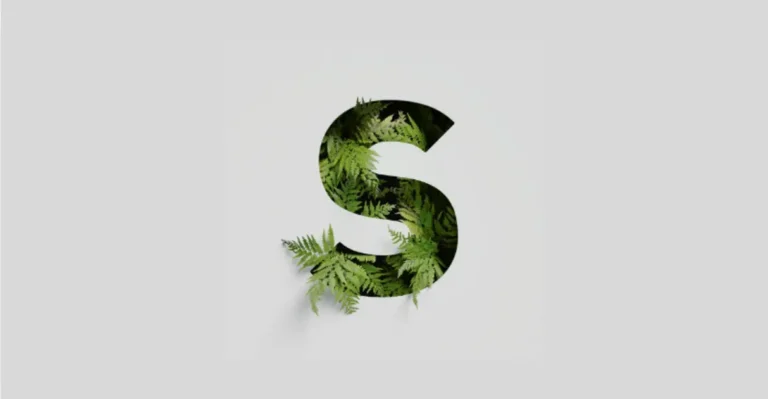 positive words that start with s
